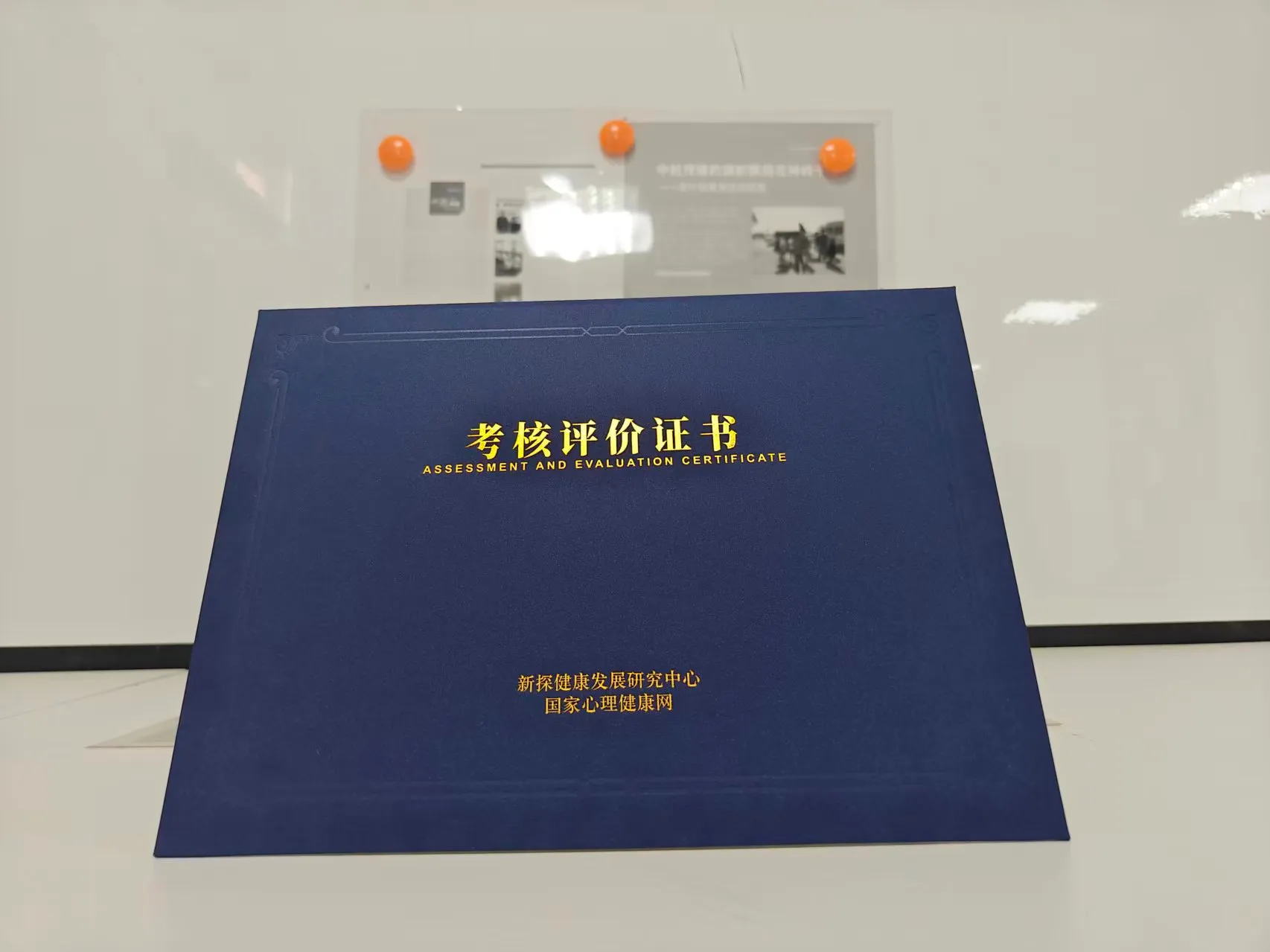 国家网心理咨询师证书（大蓝本）